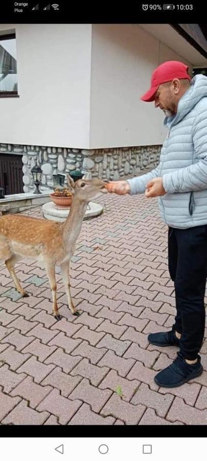 Agroturystyka Pod Lasem Poronin Εξωτερικό φωτογραφία